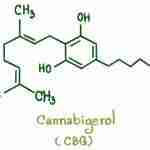 CBG Cannabinoids