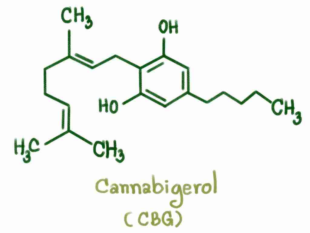 Understanding CBG For Dogs