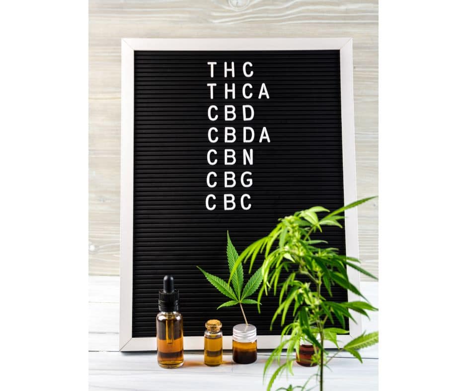 CBDA, CBD, and CBG